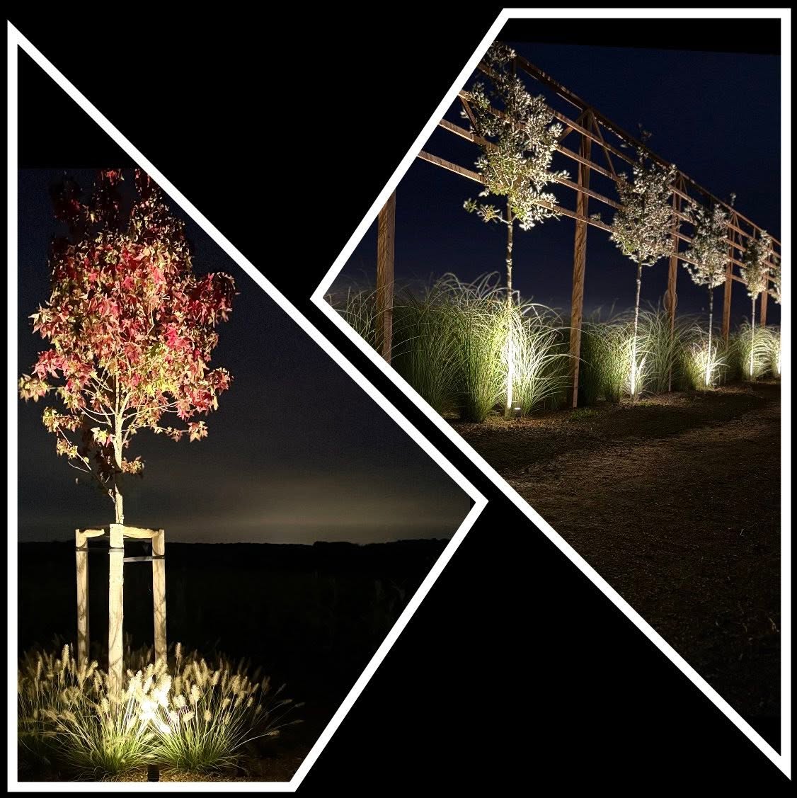 Mise en lumière d'un jardin et de ses plantations